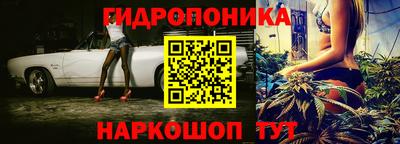 гашик Малгобек