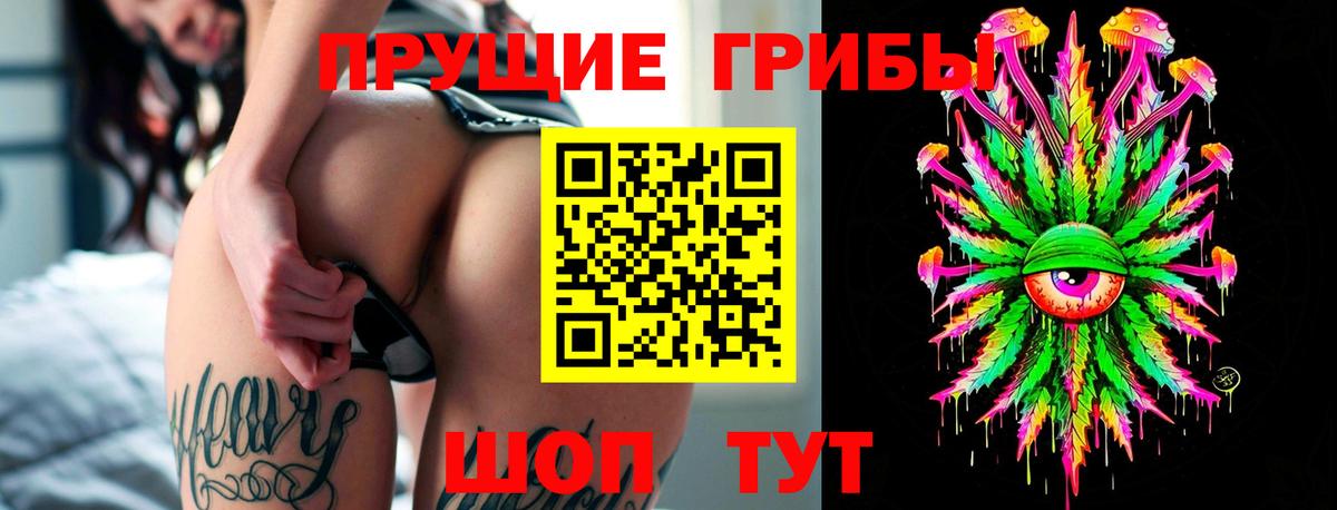 Вольск  Галлюциногенные грибы мицелий  Вход с VPN 
