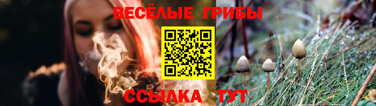 Галлюциногенные грибы Psilocybine cubensis Вольск